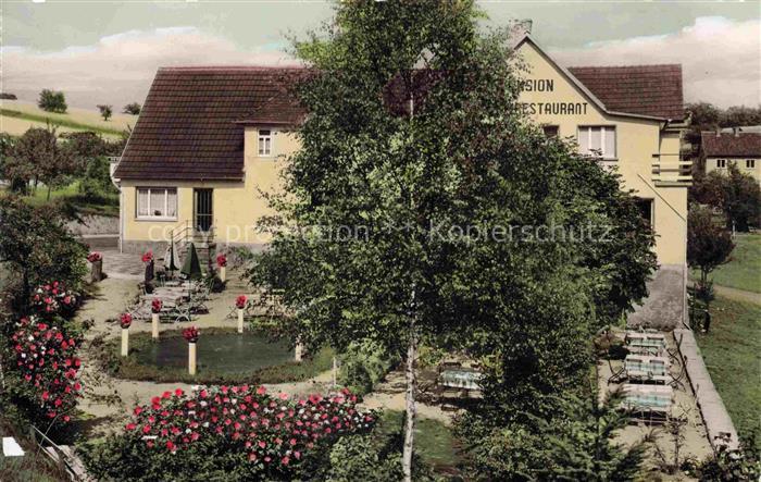 Wald-Erlenbach Heppenheim Bergstrasse Hessen Pension-Zur-Rose Restaurant Gartent