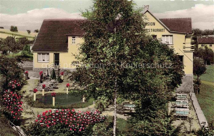 Wald-Erlenbach Heppenheim Bergstrasse Hessen Pension-Zur-Rose Restaurant Gartent