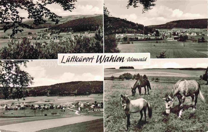 Wahlen Odenwald Grasellenbach Bergstrasse Hessen Lueftkurort Ortspanorama Haeuse