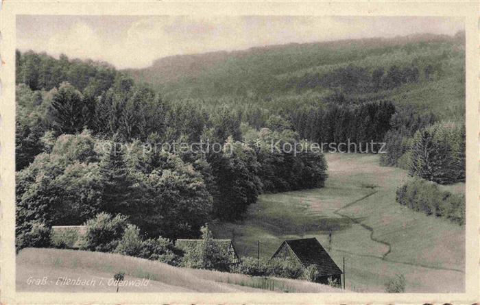 Gras-Ellenbach Grasellenbach Bergstrasse Hessen Tal Wald Wiesen Haeuser Bauernho