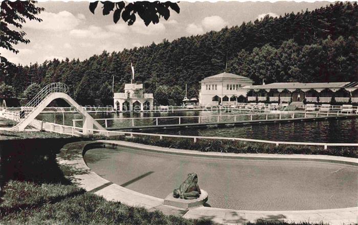 Michelstadt Odenwald Hessen Freibad Schwimmbad Rutsche Froschdenkmal Badehaeuser