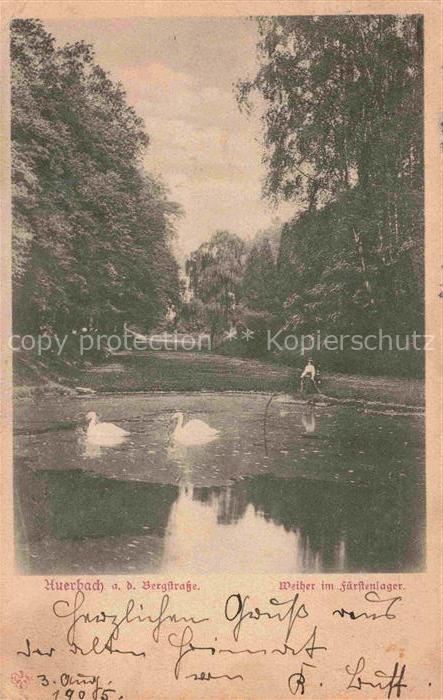 Auerbach Deggendorf Fuerstenlager Weiher Schwaene Park Teich Boot Baeume Natur