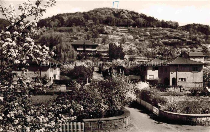 Zwingenberg Bergstrasse Hessen Orbis-Siedlung Wohnhaeuser Obstbluete Weinberg Be