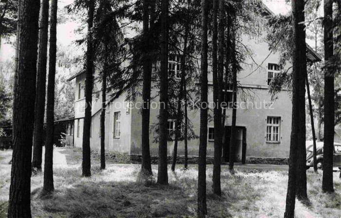 Fohrenreuth Rehau Kiefernwald Haus Ferienhaus Baeume Forsthaus Auto