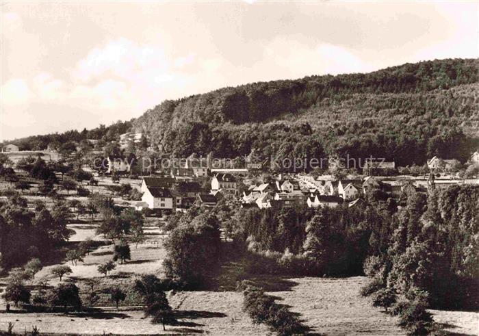 Seidenbach Pension-Bergfriede Odenwald Dorfansicht Baeume Wald Wiesen Wohnhaeuse