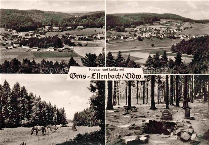 Gras-Ellenbach Grasellenbach Bergstrasse Hessen Kneippkurort Luftkurort Dorfpano