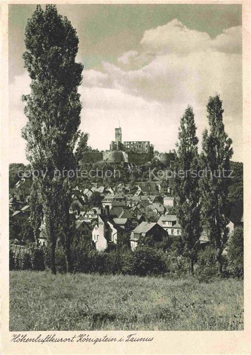 Mitteldorf Koenigstein Burg-Koenigstein Pappeln Ortschaft Huegel Wohnhaeuser Tau