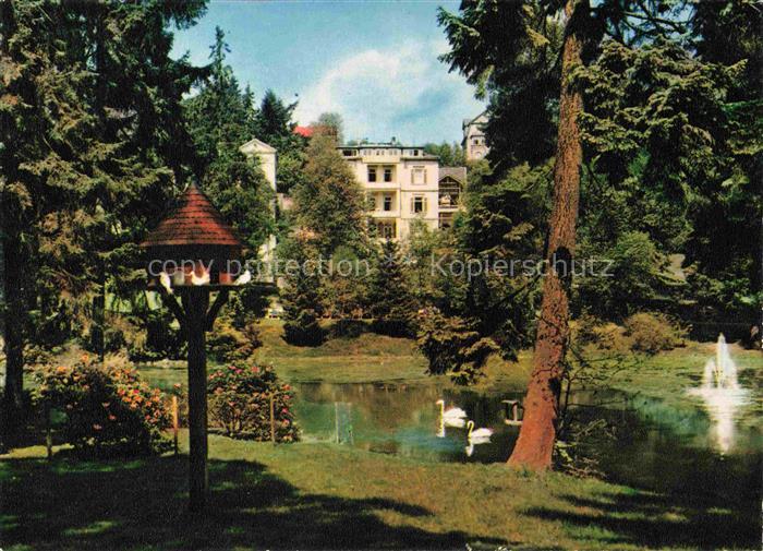 BAD SCHWALBACH Hessen Kurgarten Teich Schwaene Springbrunnen Villa Kurpark Baeum