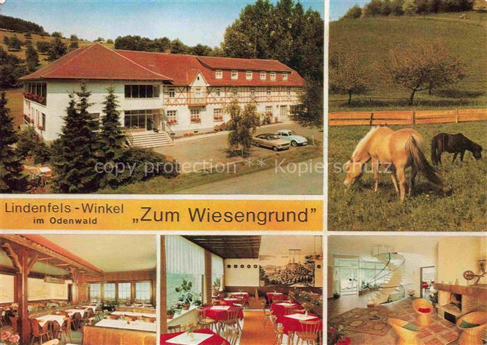 Lindenfels Odenwald Hessen Zum-Wiesengrund Restaurant-Pension Pferde Weide Resta