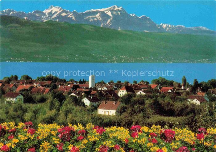 Nonnenhorn Bodensee Alpenpanorama Alpen Ortspanorama Blumen Wohnhaeuser Seeufer