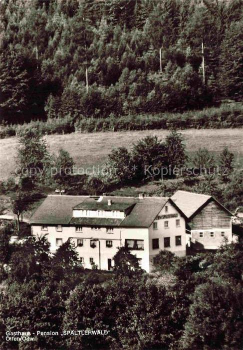 Olfen Odenwald Beerfelden Hessen Spaelterwald Gasthaus Pension Odenwald Wald Fli