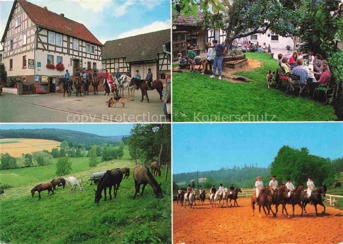 Antrifttal Vogelsbergkreis Hessen Reiterhof Pferde Weide Reitunterricht Fachwerk