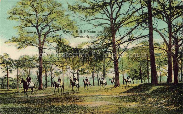 Newmarket  Suffolk UK Warren-Hill-Plantation Reiter Pferde Wald Reittraining Buc