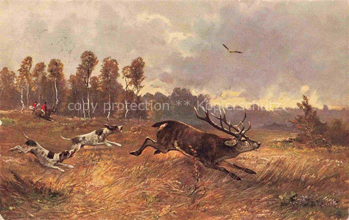 Jagd Chasse Hunting-- Hirsch Hunde