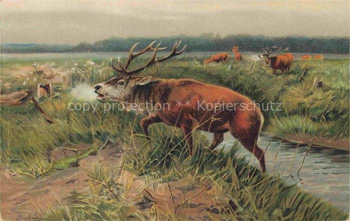 VERLAG STENGEL Nr. 47000 Abgeschlagen