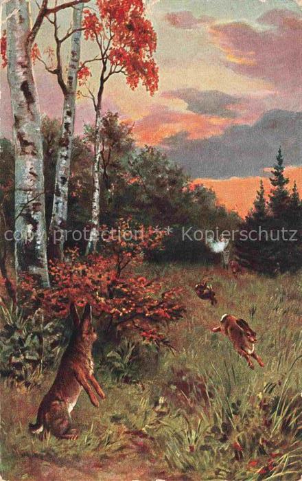 Jagd Chasse Hunting-- Hasen Engemest Nr.5