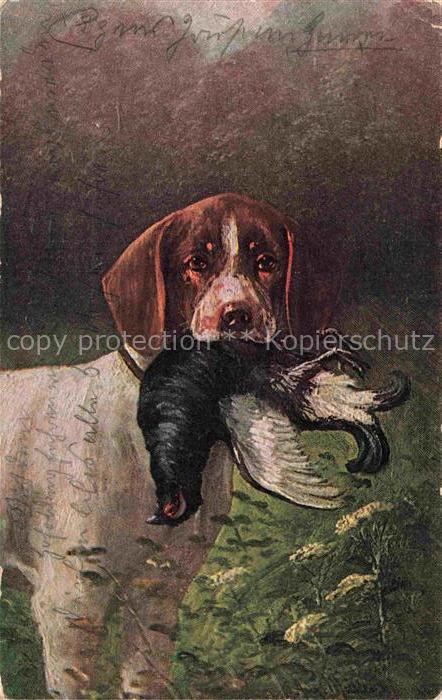 Jagd Chasse Hunting-- Hund Vogel