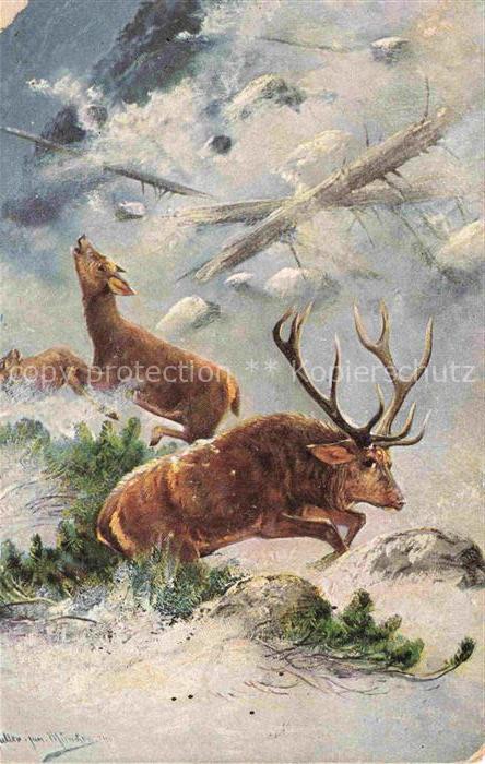 MueLLER junior Kuenstlerkarte Muenchen Hirsch