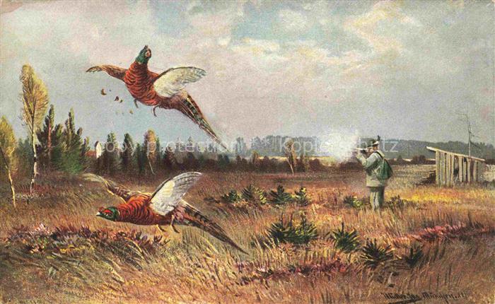 Auerhahn  Grouse-- Jagd