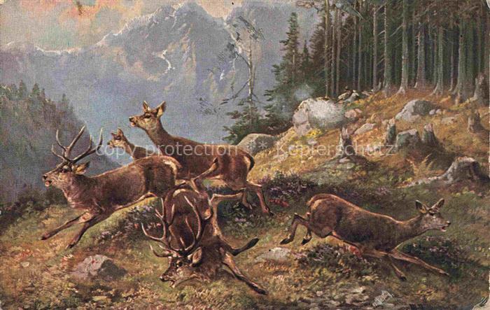 Jagd Chasse Hunting-- Rehe Hirsch