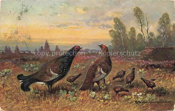 MueLLER junior Kuenstlerkarte Muenchen Vogel