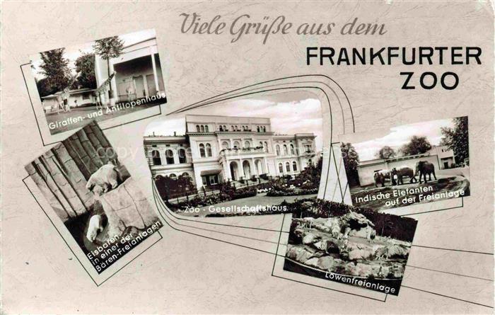 Zoo Gardin Zoologique-- Frankfurt Gesellschaftshaus Elefanten Eisbaer Loewenfrei