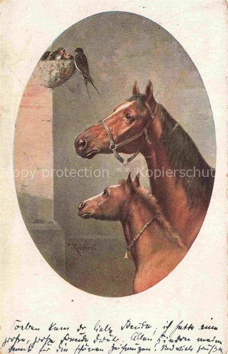 Verlag Munk M. Wien Vienne Nr. 1161 Pferd