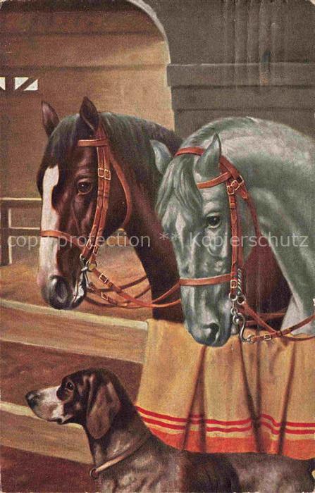 PFERDE Horses Cheval Hund