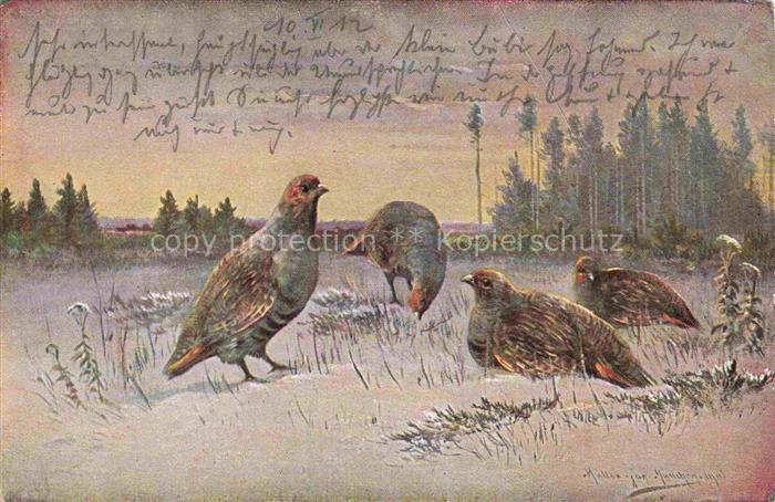 MueLLER junior Kuenstlerkarte Muenchen Nr. 1512 Federwield