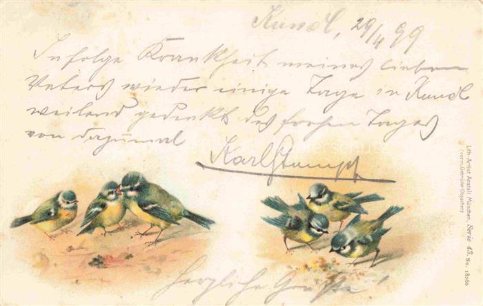 VoeGEL Birds Oiseaux Uccelli Pajaros-- Spatz Litho