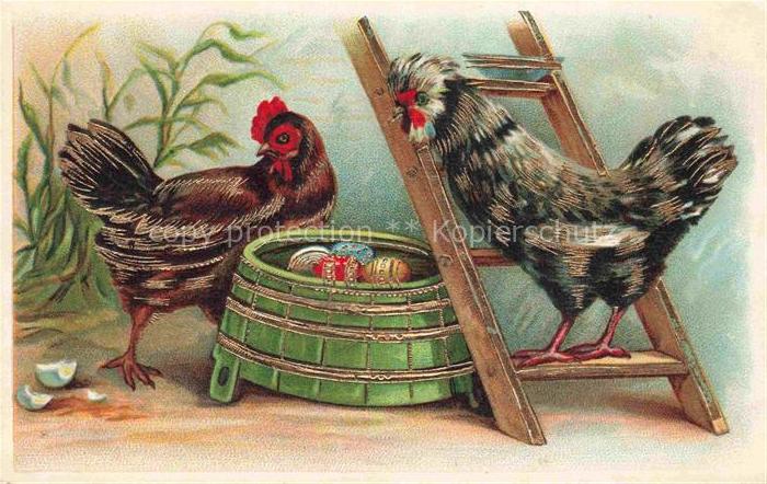 VoeGEL Birds Oiseaux Uccelli Pajaros-- Huehner Eier Ostern