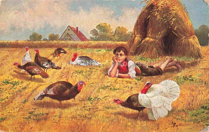 VoeGEL Birds Oiseaux Uccelli Pajaros-- Truthahn Pute Landwirtschaft Kind
