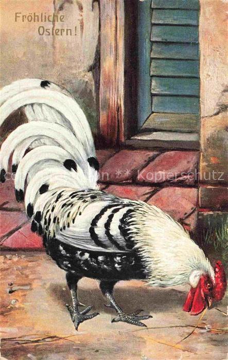 VoeGEL Birds Oiseaux Uccelli Pajaros-- Hahn Ostern