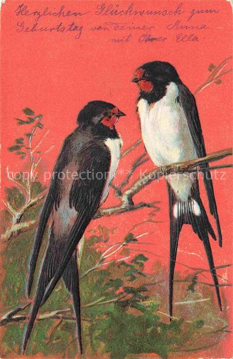 VoeGEL Birds Oiseaux Uccelli Pajaros-- Schwalben Litho