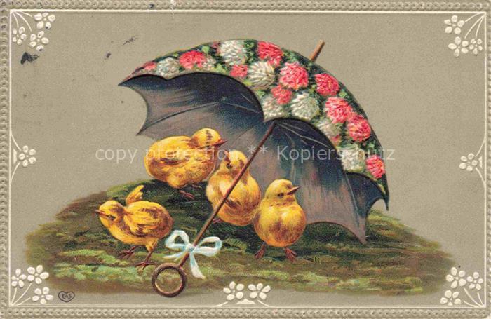 VoeGEL Birds Oiseaux Uccelli Pajaros-- Kueken Regenschirm