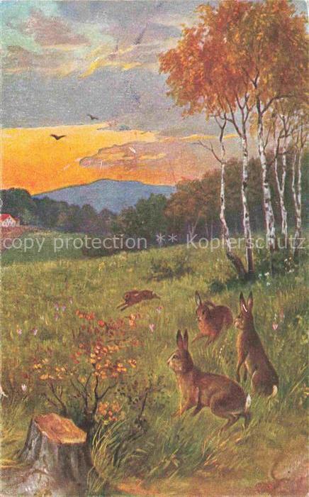 Hasen -Rabbits Lapins Conejos-- Landschaft