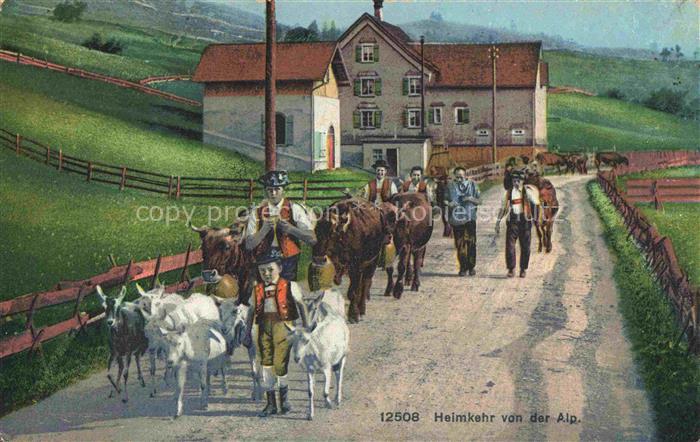 Landwirtschaft Agriculturo Agriculture-- Ziegen Kuehe Heimkehr von der Alp.
