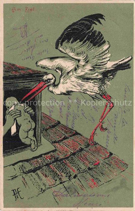 Storch Stork Cigogne Ciguena-- Baby Am Ziel