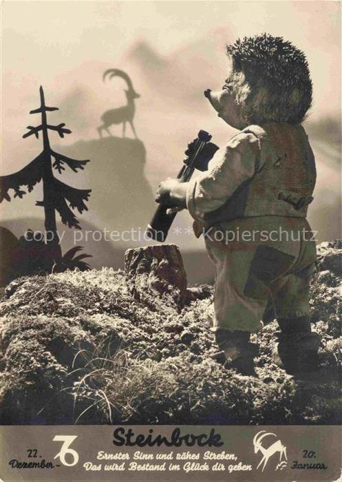 MECKI Nr. 501 Hoer Zu Diehl Film Sternbock Sternzeichen