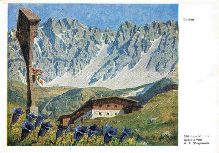 STEGMANN Arnulf Erich Kuenstlerkarte Nr. 363 Enzian