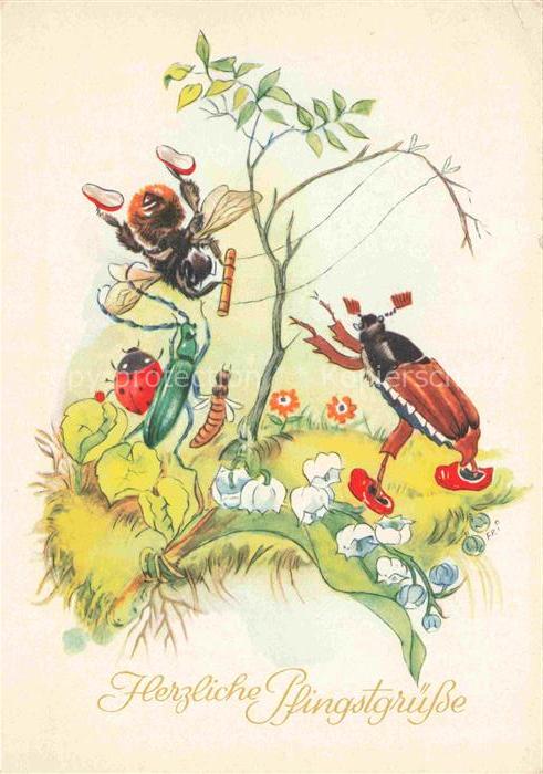 Maikaefer Cockchafer Hanneton-- Pfingstgruesse