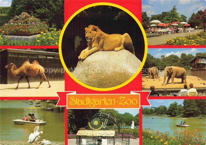 Zoo Gardin Zoologique-- Karlsruhe Stadtgarten Loewe Elefant Kamel