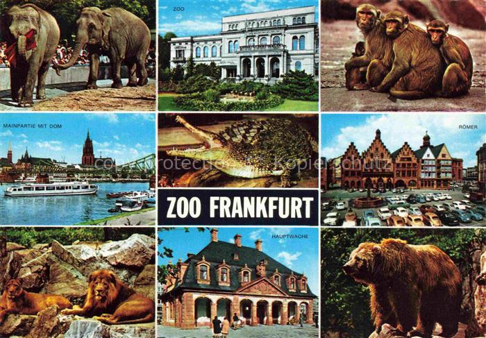 Zoo Gardin Zoologique-- Frankfurt Hauptwache Braunbaer Affen Elefant Loewen Krok