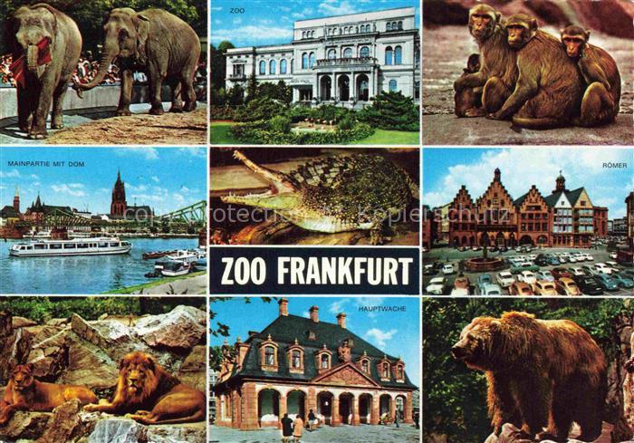 Zoo Gardin Zoologique-- Frankfurt Main Braunbaer Affen Elefanten Krokodil Loewen