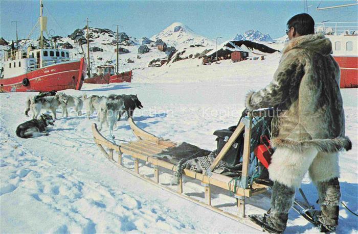 Husky HUNDE dogs chiens-- Hundeschlitten