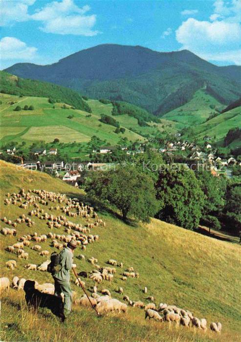 Schaeferei Sheperding Bergerie-- Muenstertal am Fusse des Belchen