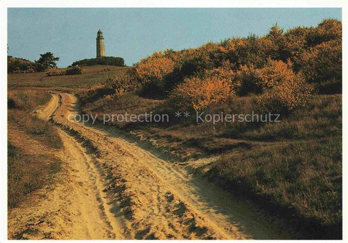 Leuchtturm Lighthouse Faro Phare-- Ginsterbluete am Dornbusch Hiddensee