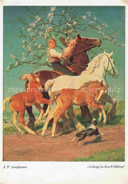 JUNGHANNS Jul. P. Kuenstlerkarte Galopp in den Fruehling