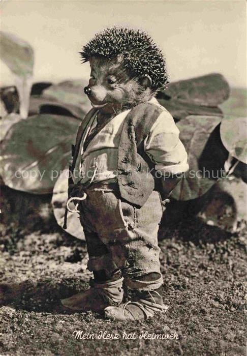 MECKI Nr. 4 Gebrueder Diehl Hoer Zu Heimweh