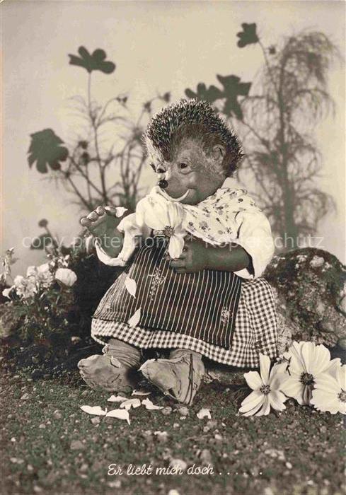 MECKI Nr. Gebrueder Diehl Hoer Zu Er liebt mich doch